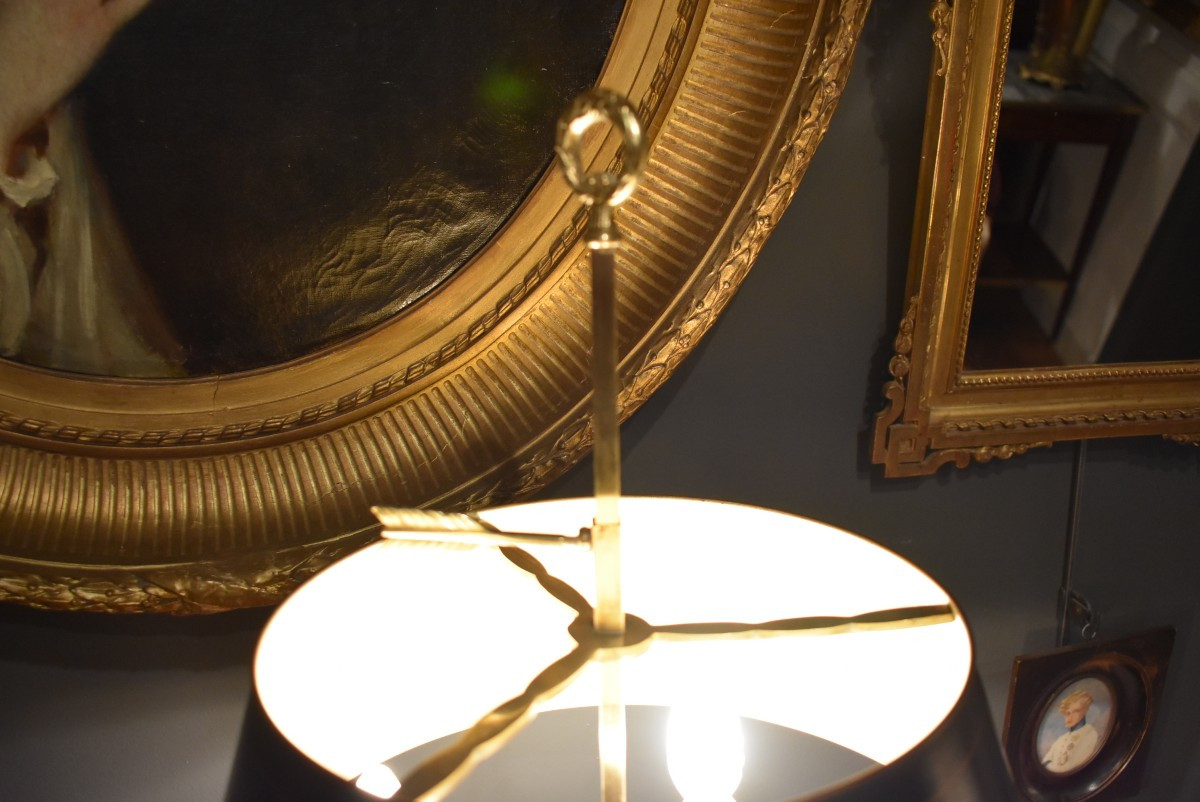 Lampe bouillotte aux cygnes ailés-photo-1