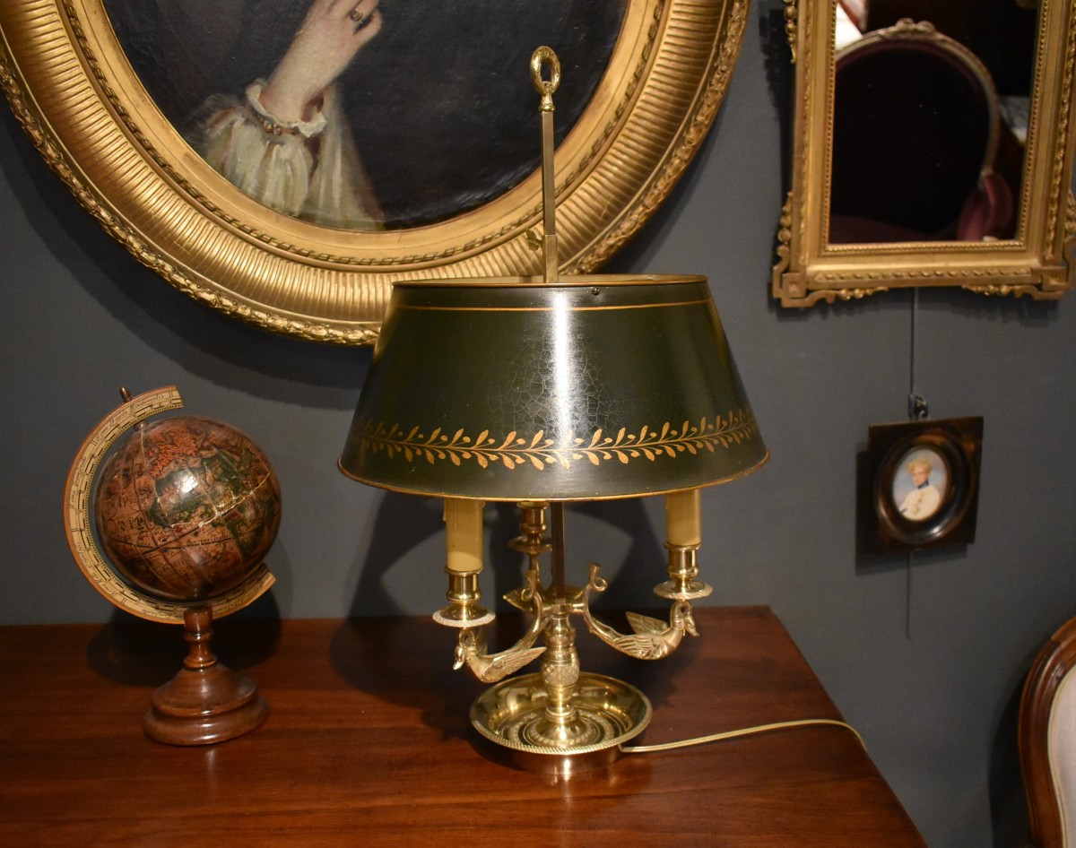 Lampe bouillotte aux cygnes ailés-photo-2