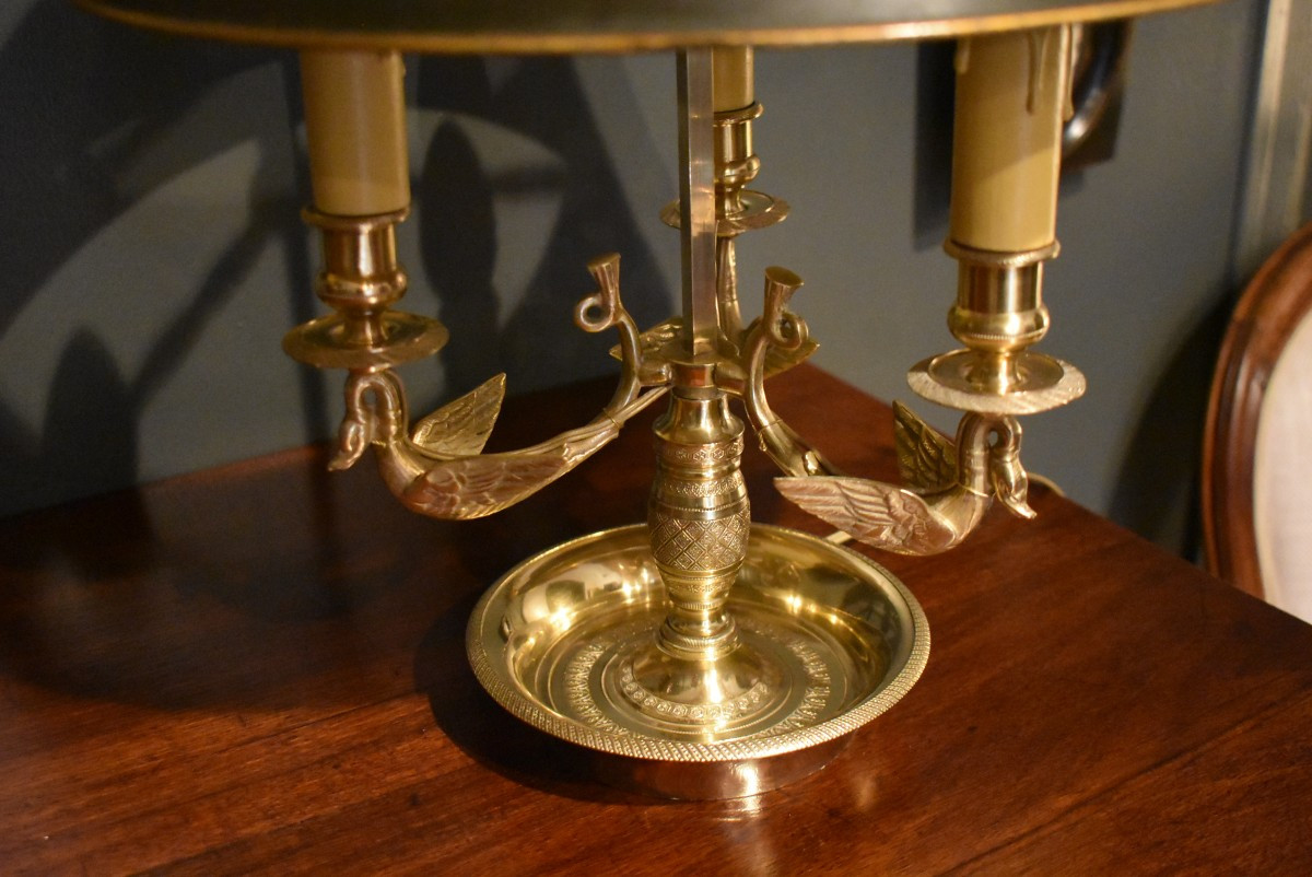 Lampe bouillotte aux cygnes ailés-photo-3