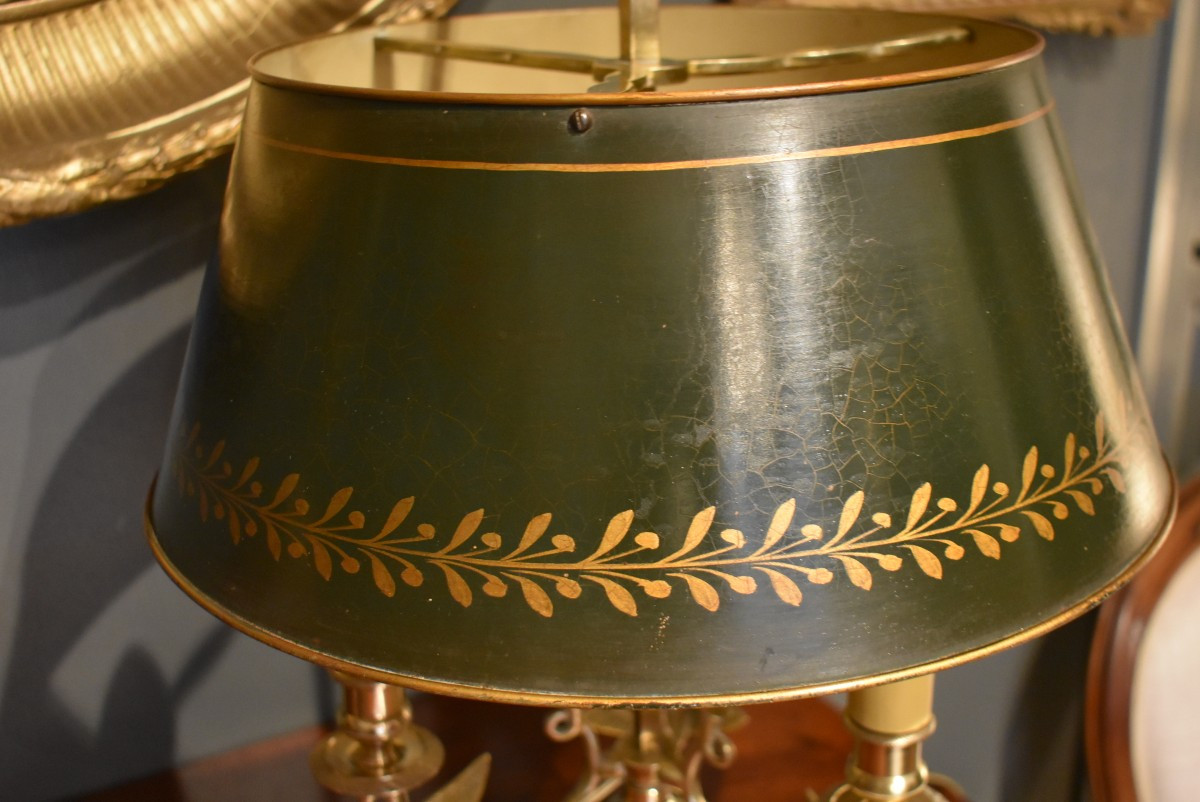 Lampe bouillotte aux cygnes ailés-photo-4