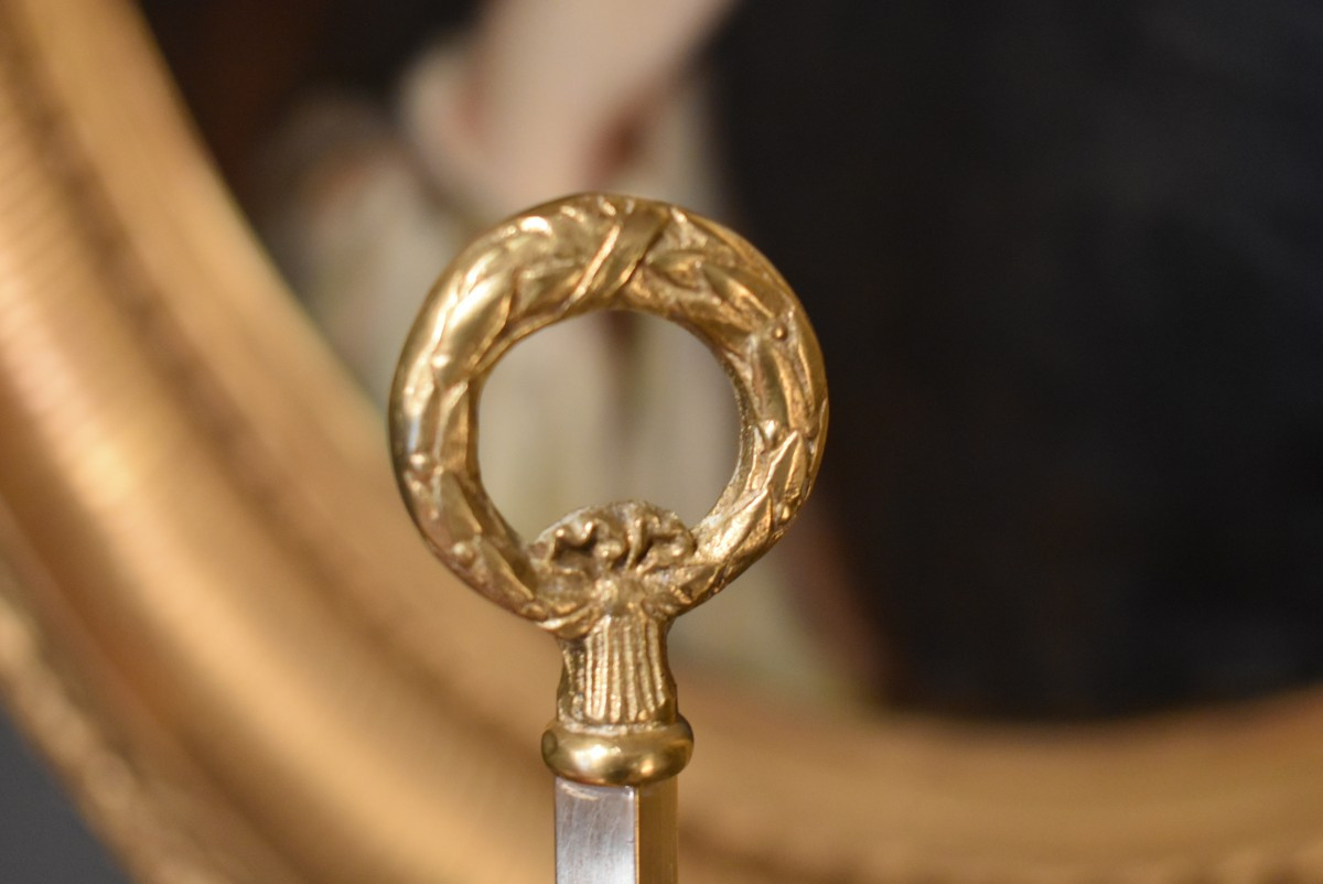 Lampe bouillotte aux cygnes ailés-photo-5