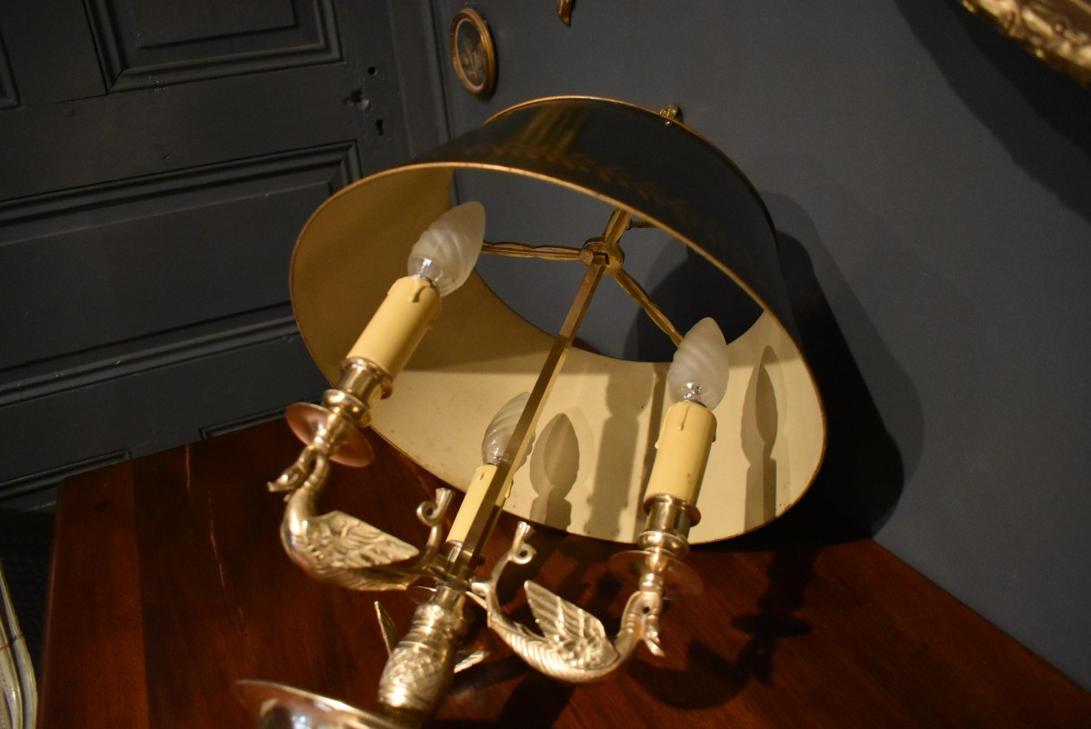 Lampe bouillotte aux cygnes ailés-photo-8