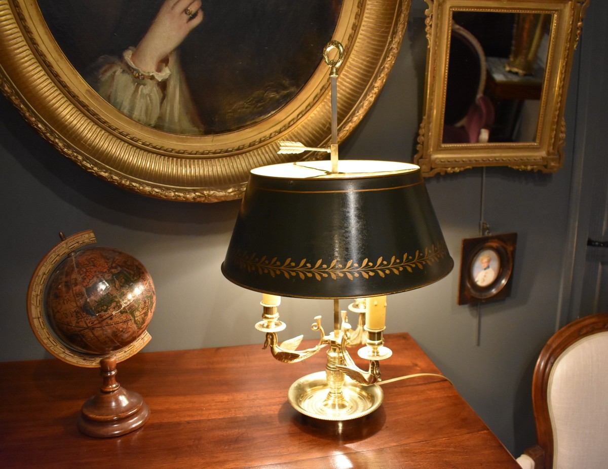 Lampe bouillotte aux cygnes ailés