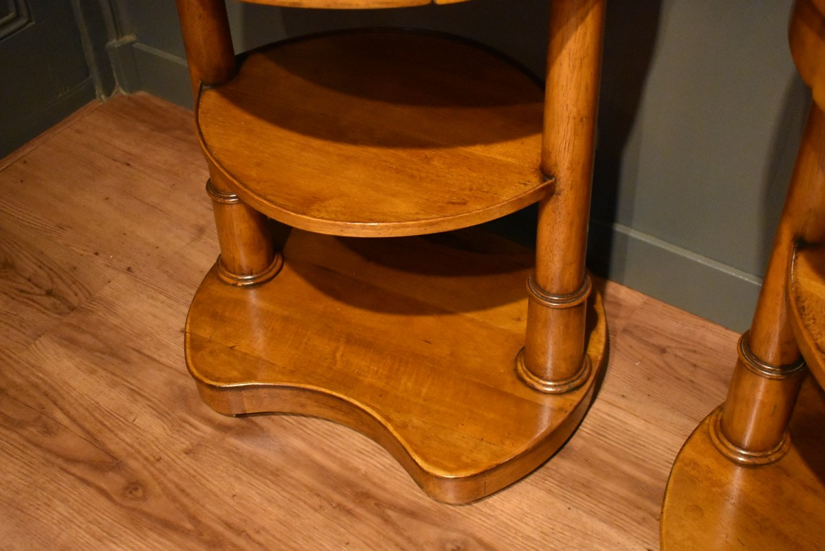 Pair Of Empire Style Bedside Tables In Walnut-photo-3