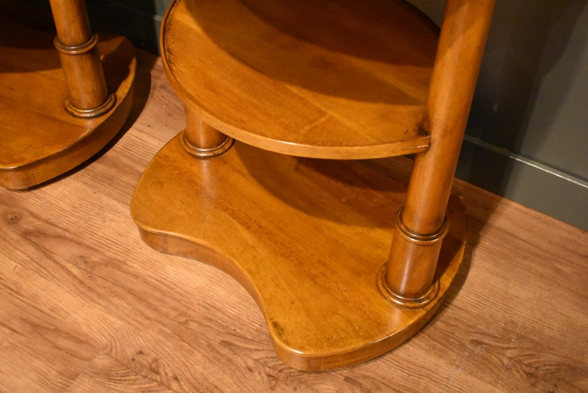 Pair Of Empire Style Bedside Tables In Walnut-photo-4