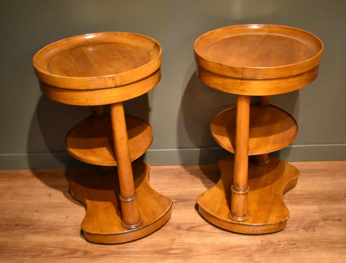 Pair Of Empire Style Bedside Tables In Walnut-photo-6