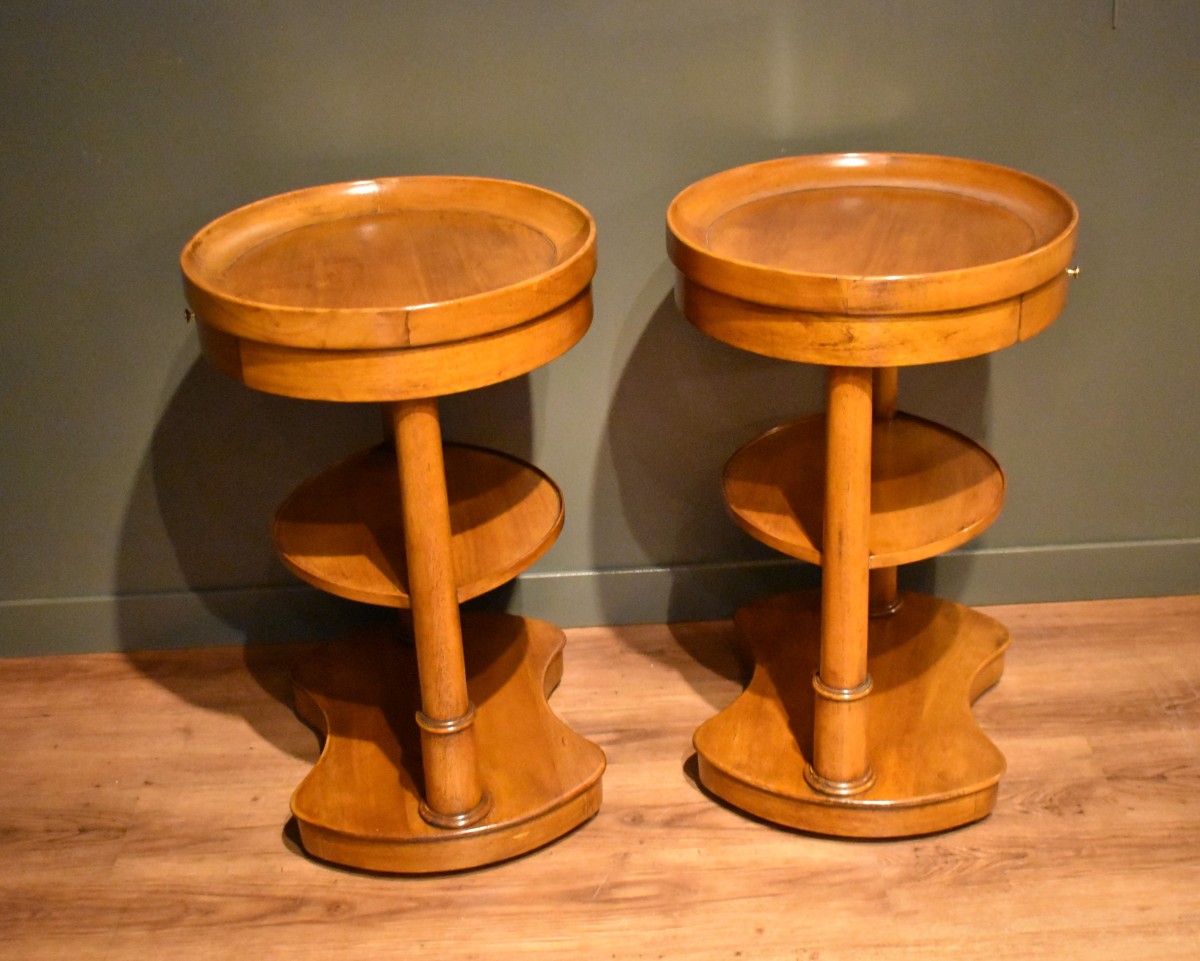 Pair Of Empire Style Bedside Tables In Walnut-photo-7
