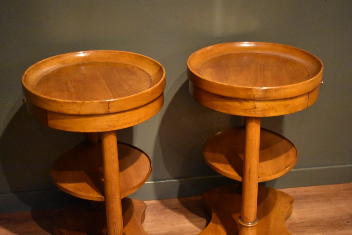 Pair Of Empire Style Bedside Tables In Walnut-photo-8