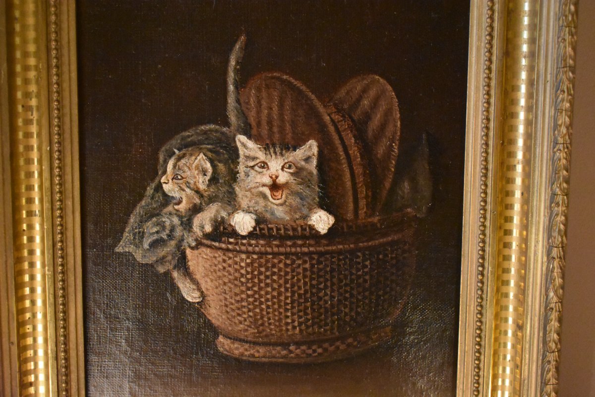 Kittens In A Basket-photo-3