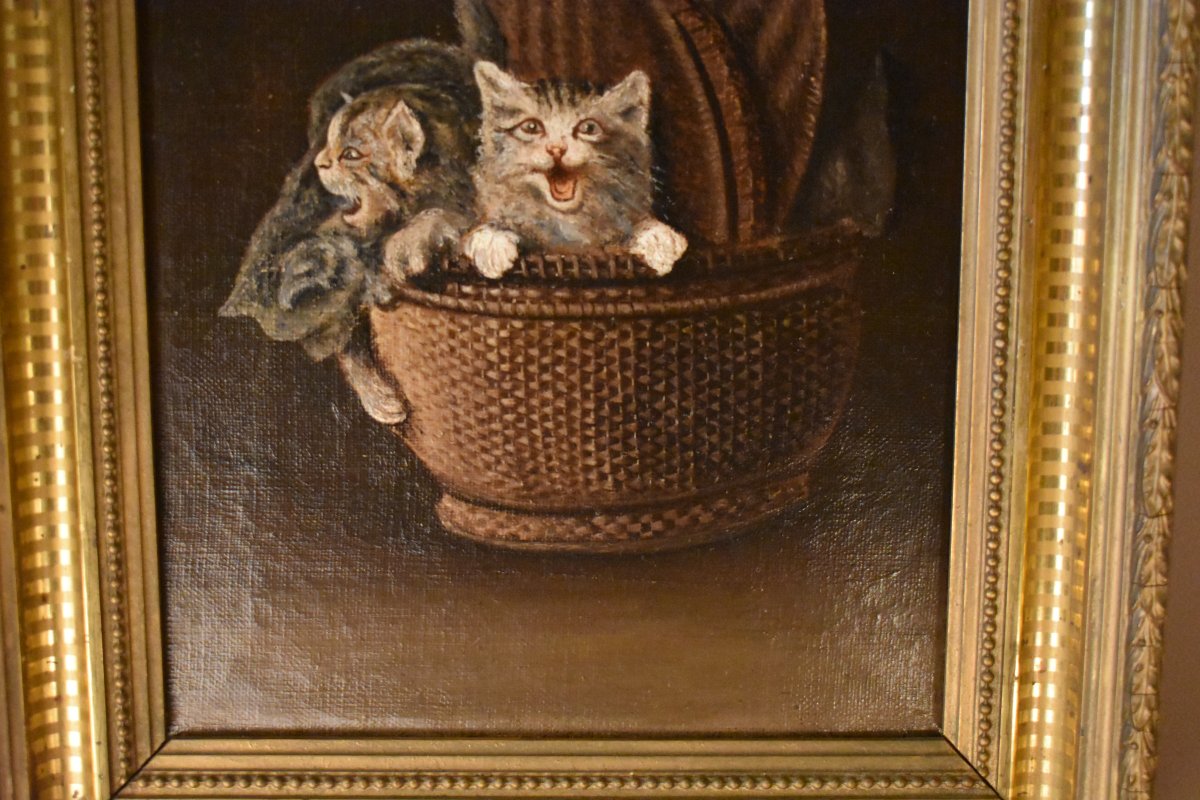 Kittens In A Basket-photo-1