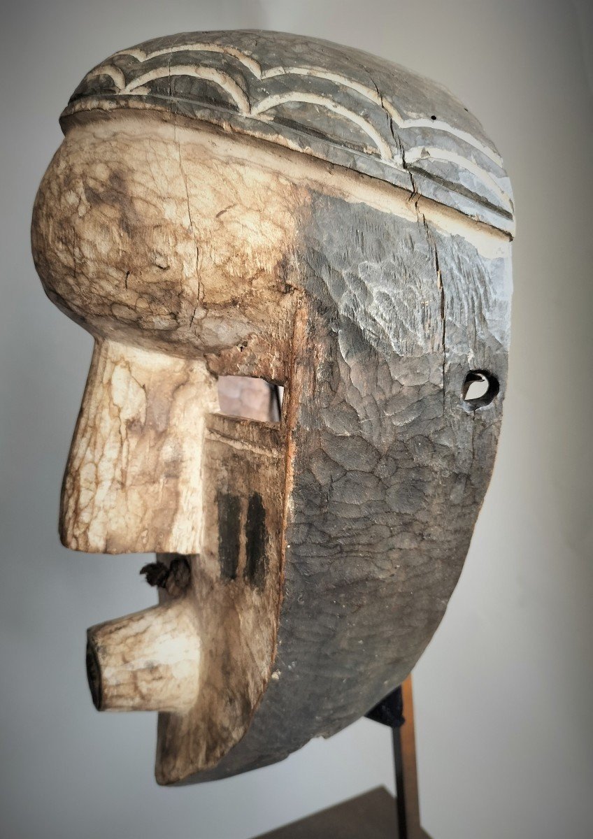 Cubisant Mask Mvondo Lwalwa Drc-photo-3