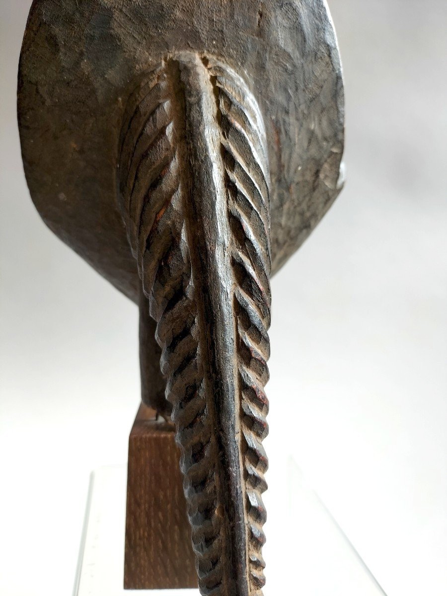Big Luba Head Drc-photo-1