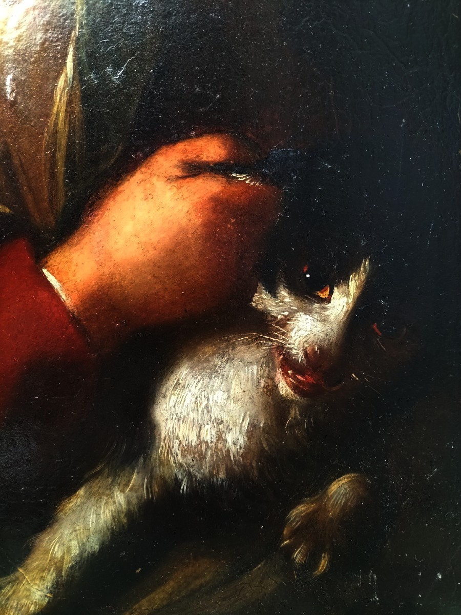 Portrait Of A Young Boy With A Cat, Late 18th Century-photo-3