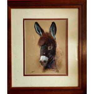 Portrait Of A Donkey Gouache And Watercolor 