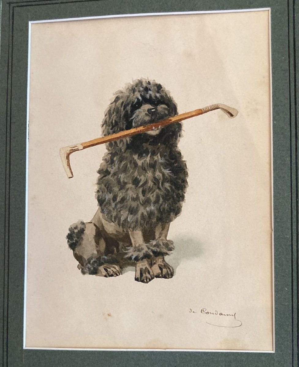 Charles Fernand De Condamy (1855-1913), Watercolor On Paper, Poodle With Cane, Nineteenth-photo-4