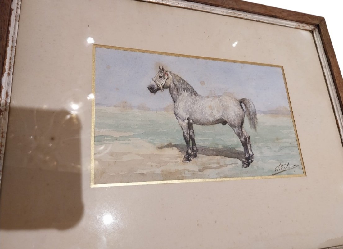 Olivier Charles De Penne (1831-1897), White Horse Near, 19th Century  -photo-3