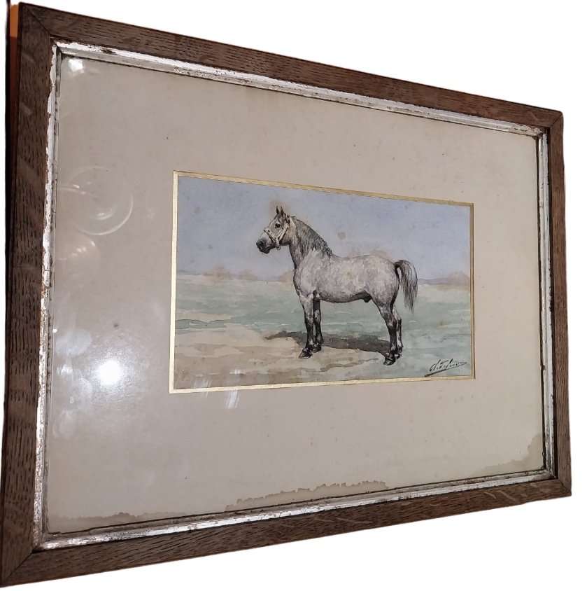 Olivier Charles De Penne (1831-1897), White Horse Near, 19th Century  -photo-4