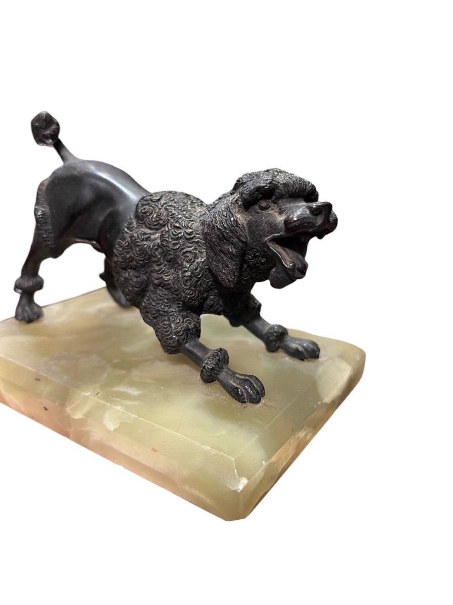 Bronze Representing A Dog, Onyx Base, 20th Century-photo-2