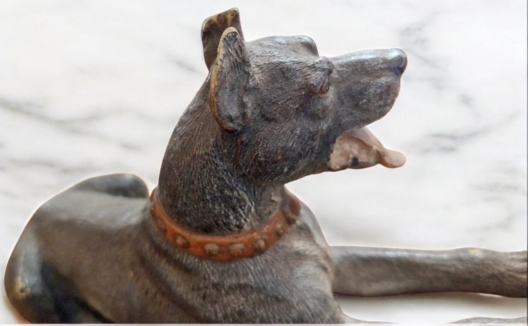Vienna Bronze, Great Dane, 19th Century-photo-2