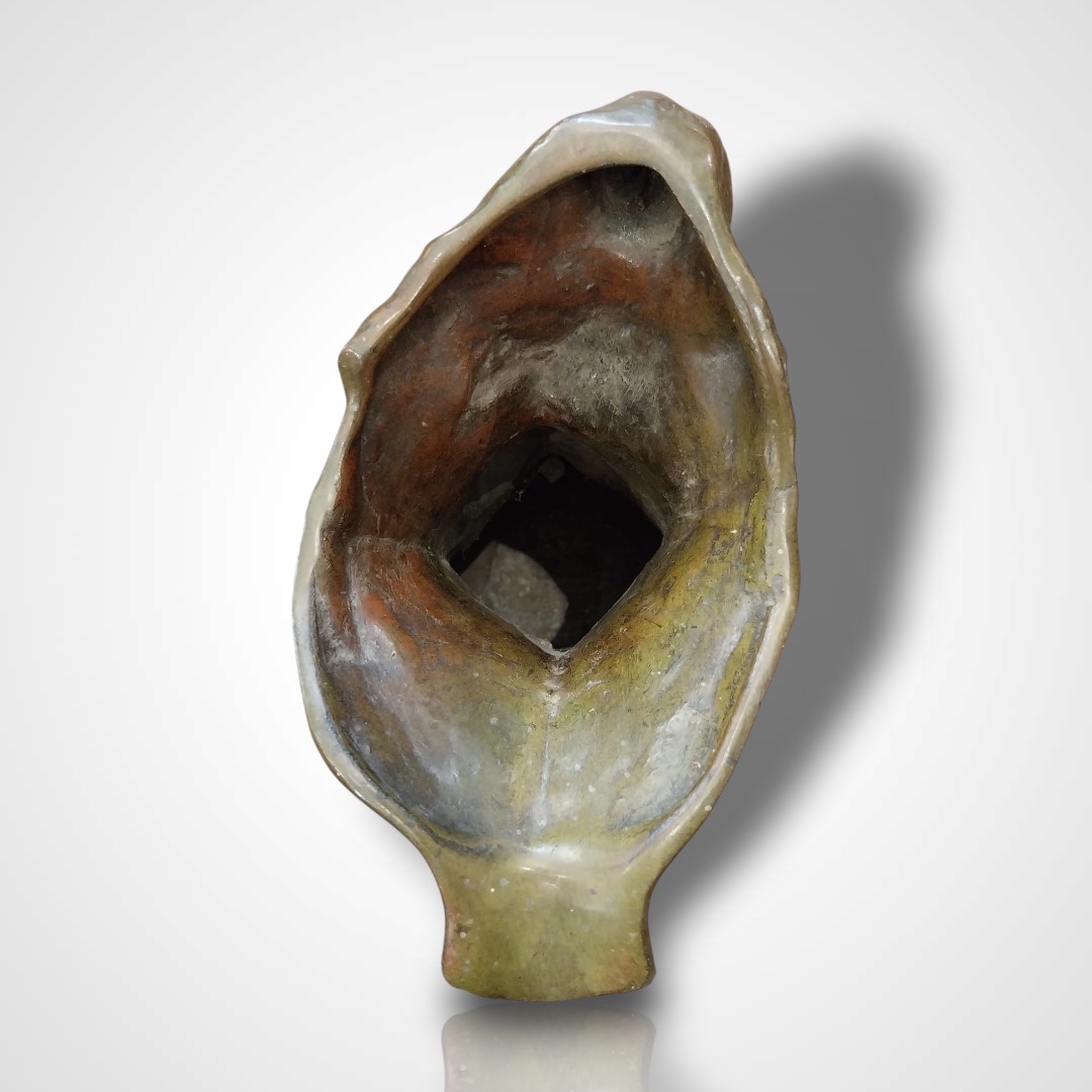 A.Schwartz, vase - aiguière en bronze Art Nouveau, XXe-photo-4