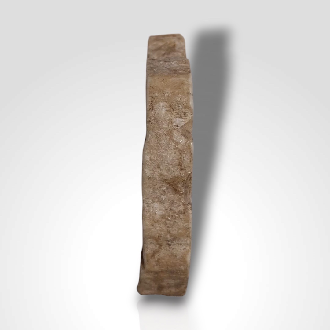 Tranche de dent fossilisée avec armoirie en argent, XIXe-photo-3