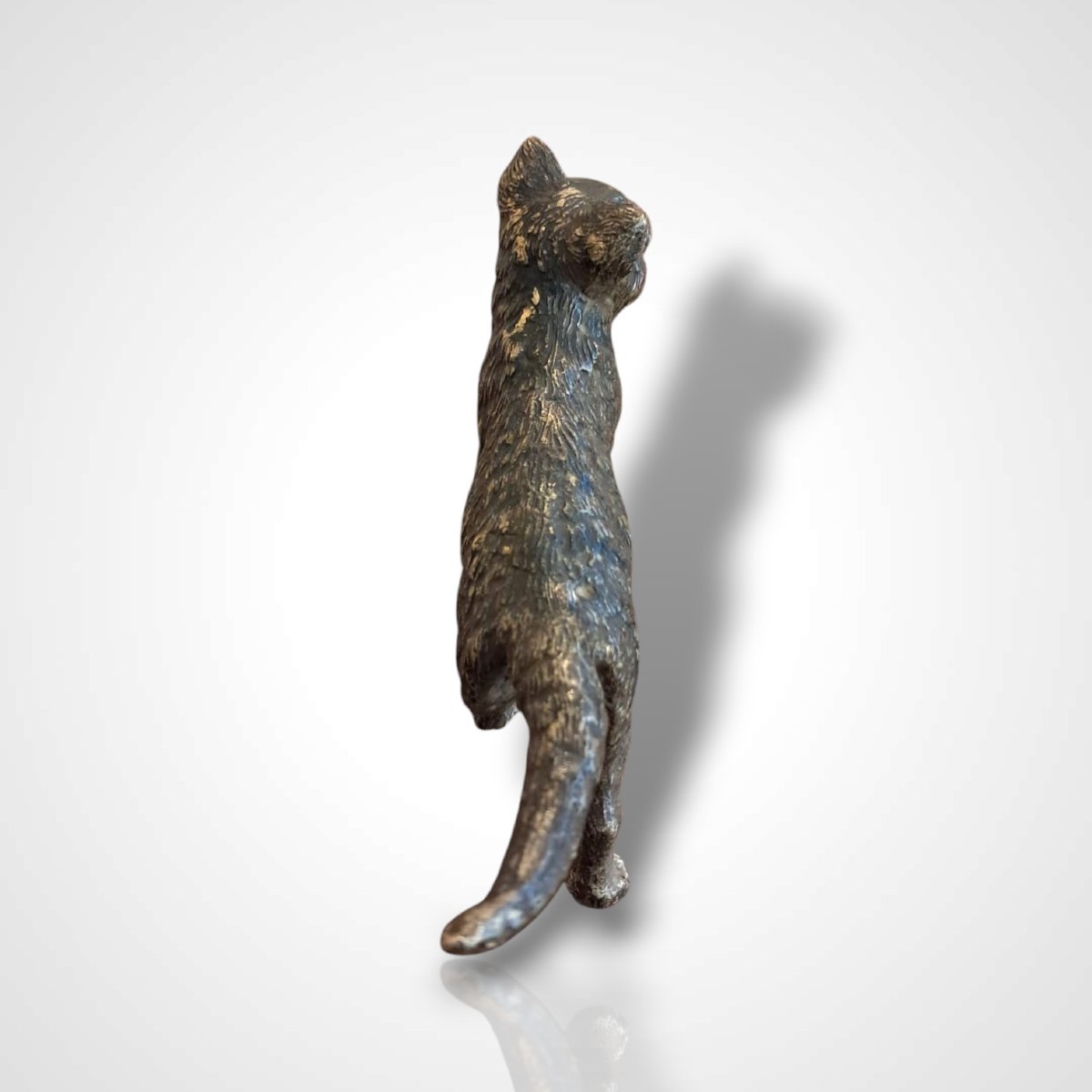 Bronze de Vienne représentant un chat, XIXe-photo-4