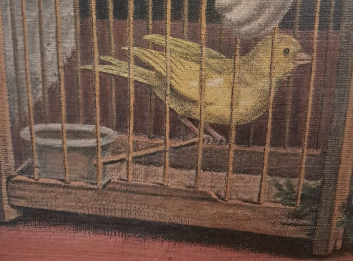 Cat Attacking A Birdcage, Oil On Canvas, 19th Century-photo-3