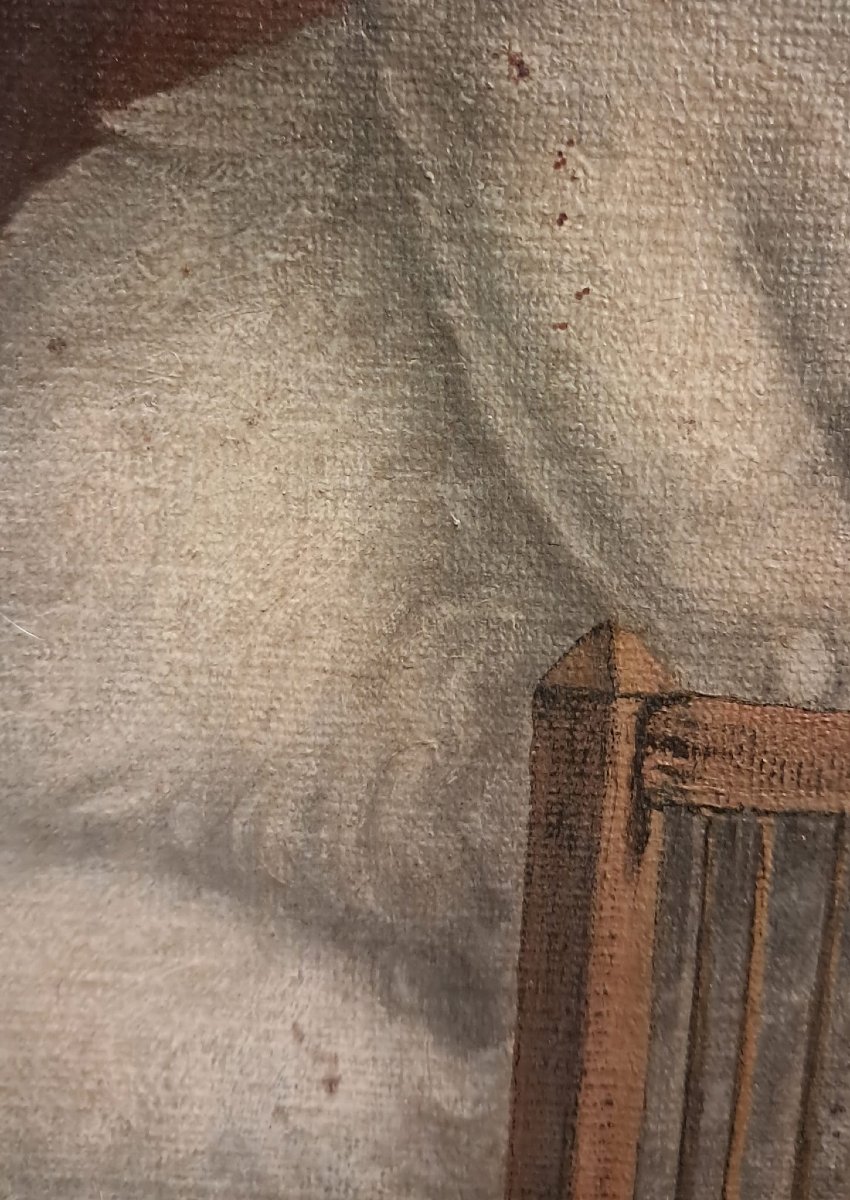 Cat Attacking A Birdcage, Oil On Canvas, 19th Century-photo-2