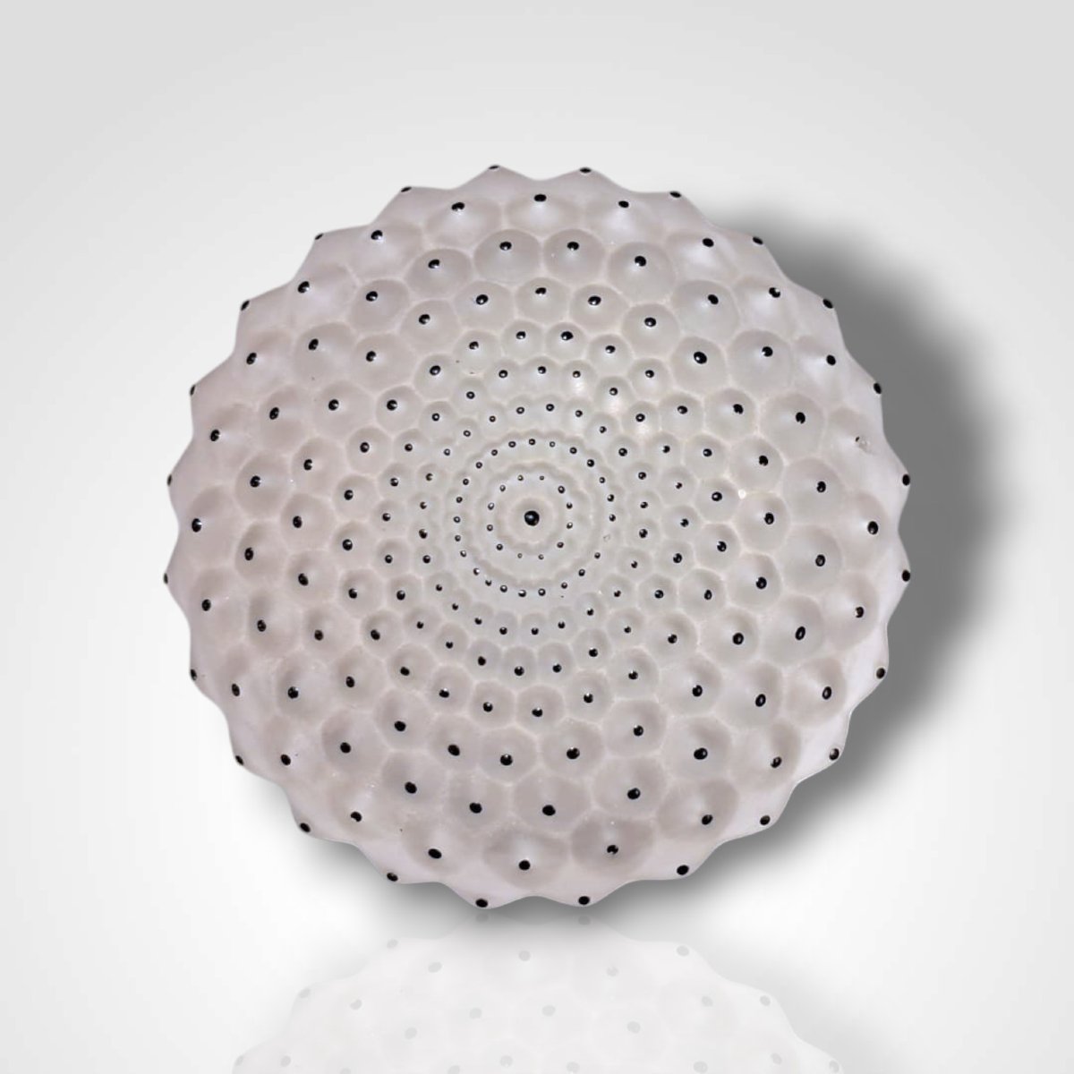 Poudrier “cactus”, Lalique, XXe-photo-2
