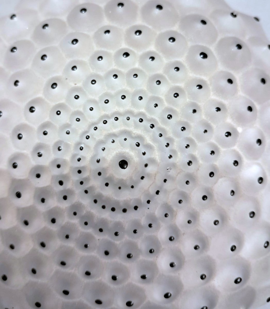 Poudrier “cactus”, Lalique, XXe-photo-2
