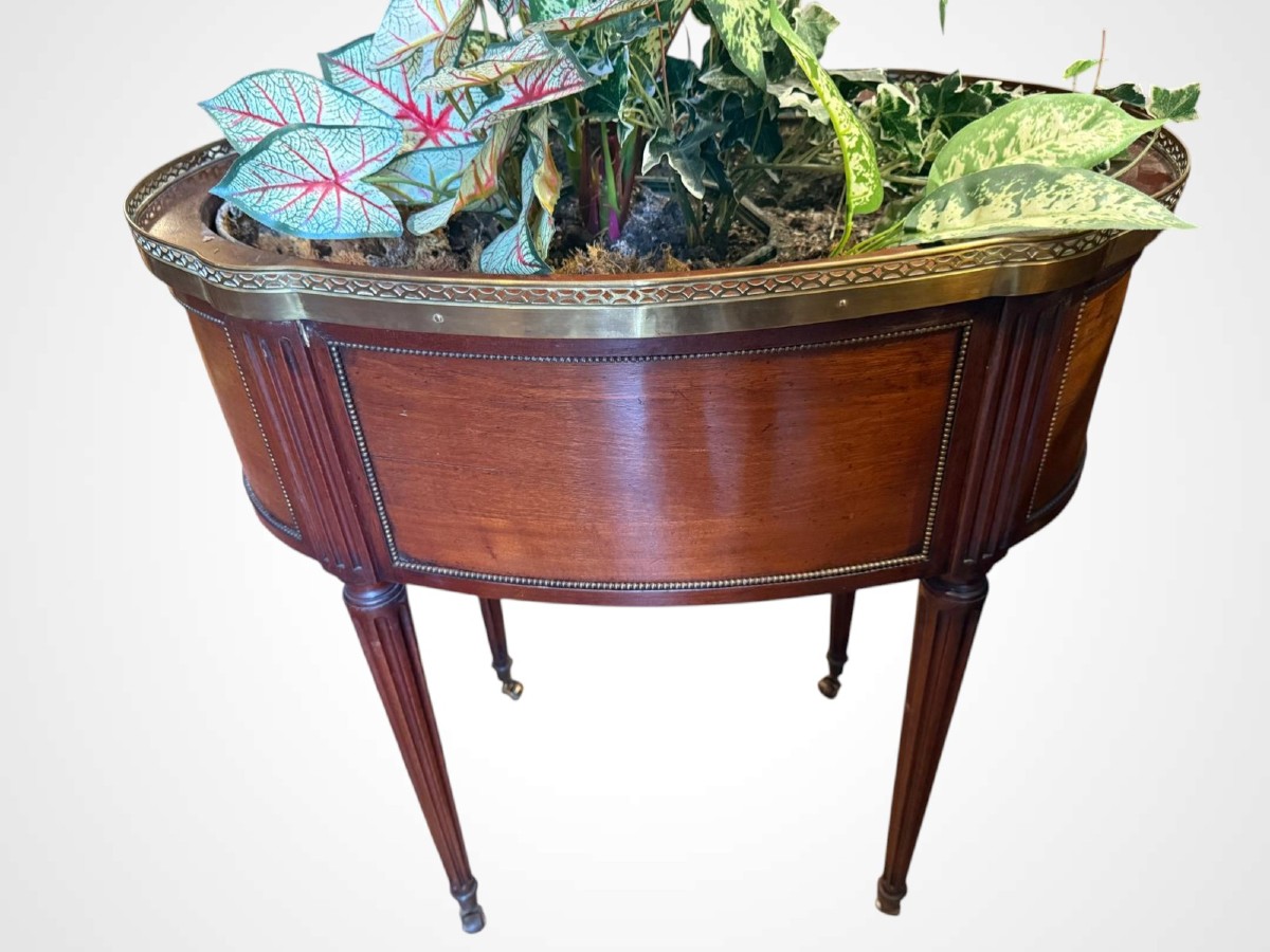 Jardinière de style Louis XVI, XIXème 