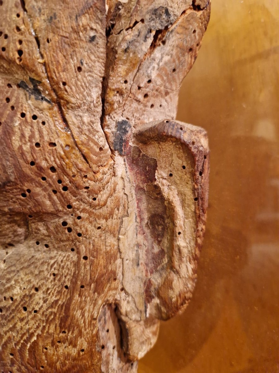 Claude de Muzac, masque de sarcophage égyptien monté sur un soclage en verre et bronze, XXe-photo-6