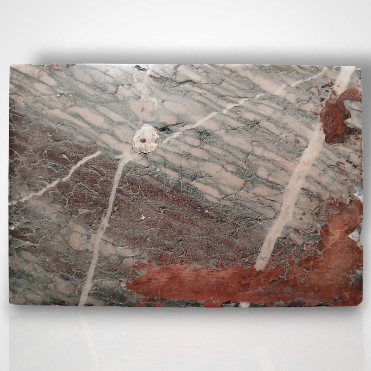 Silver-plated Snake On Marble Base, 20th Century-photo-2