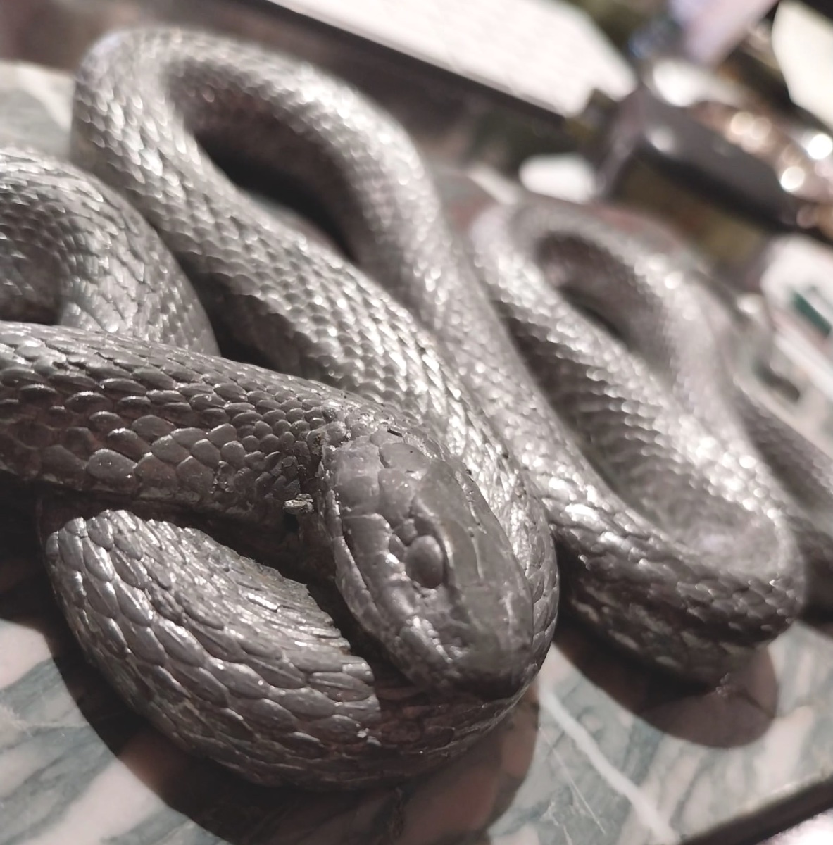 Silver-plated Snake On Marble Base, 20th Century-photo-5