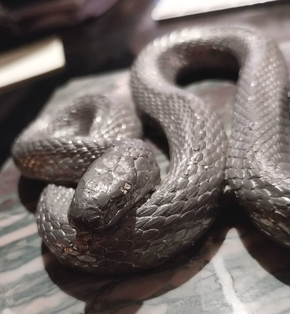 Silver-plated Snake On Marble Base, 20th Century-photo-6