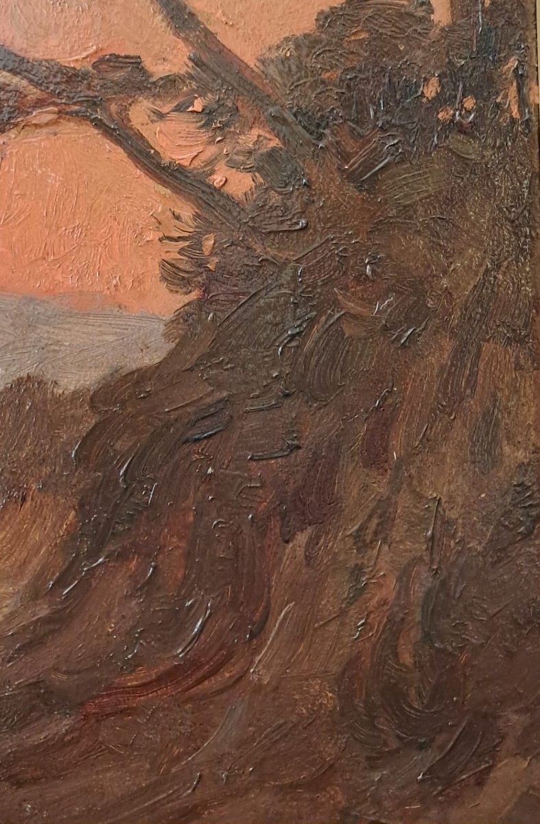 Marcel Dominique Poggioli, View Of Corsica, Oil On Panel, Early 20th Century-photo-1