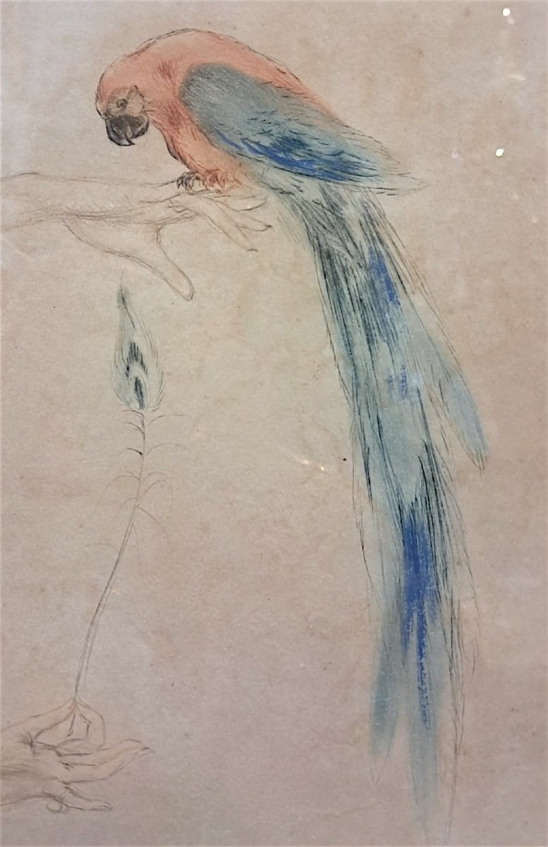 Louis Icart, Young Woman With A Parrot, Etching, 20th Century-photo-3