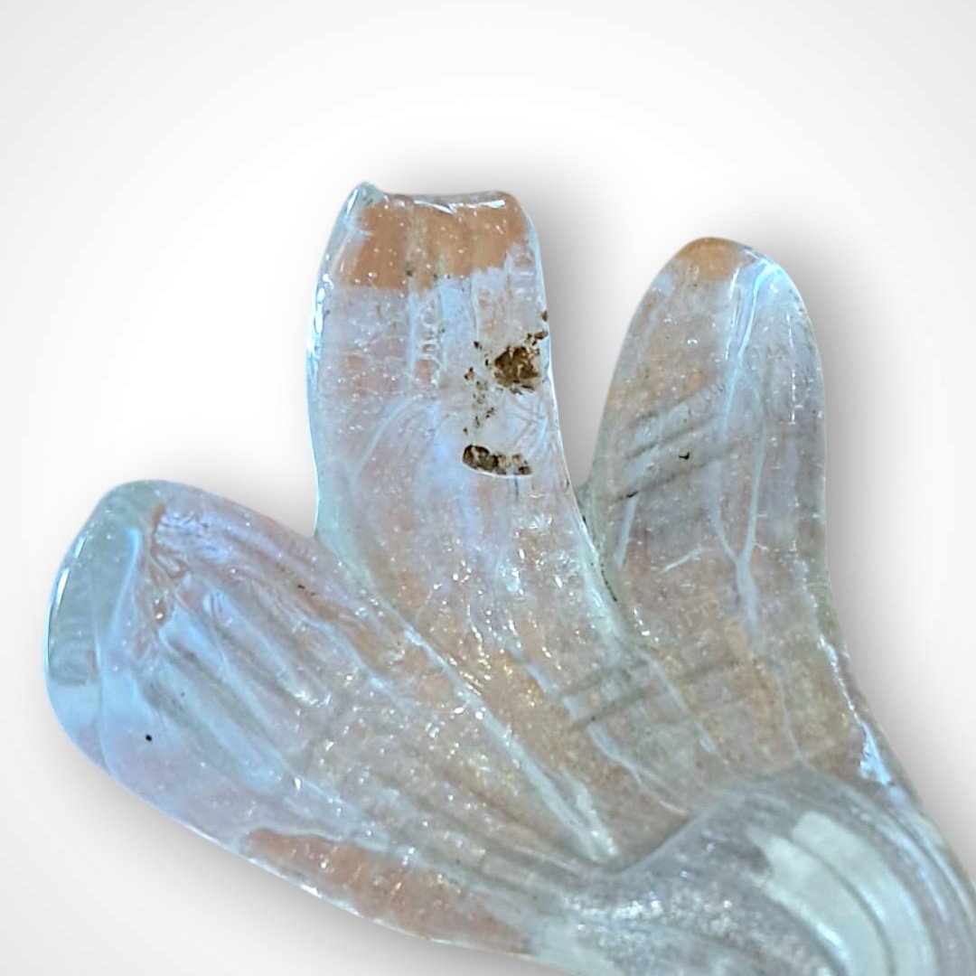 Murano Glass Fish, 20th Century-photo-4