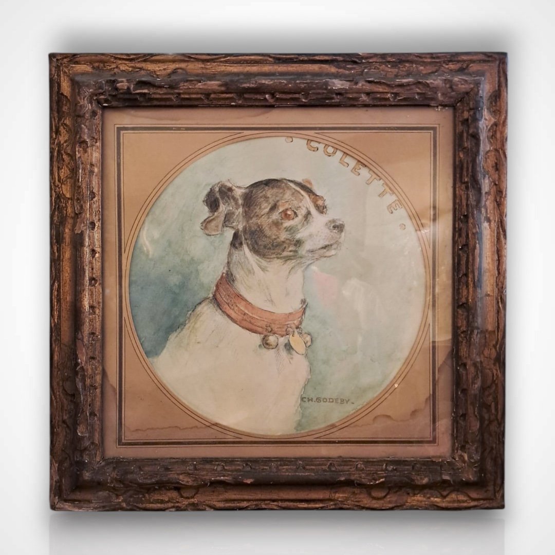 Charles Léon Godeby, portrait de chien, aquarelle, début XXe