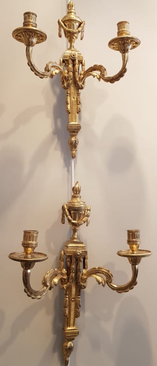 Pair Of Louis XVI Gilt Bronze Sconces-photo-2