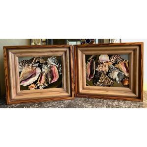 Pair Of Still Lifes With Shells