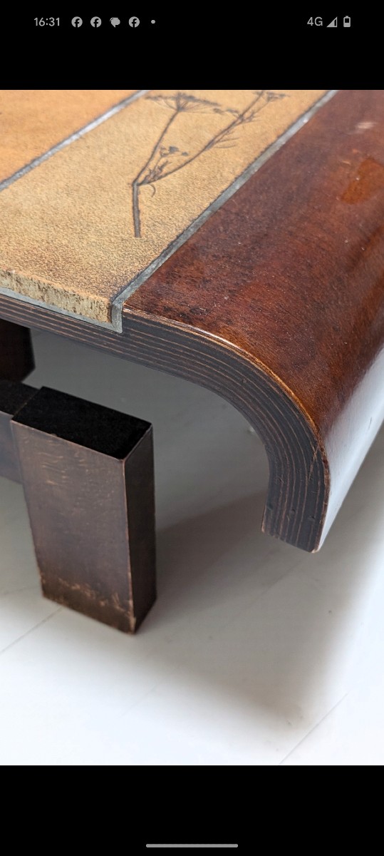 Roger Capron Herbier Coffee Table -photo-1