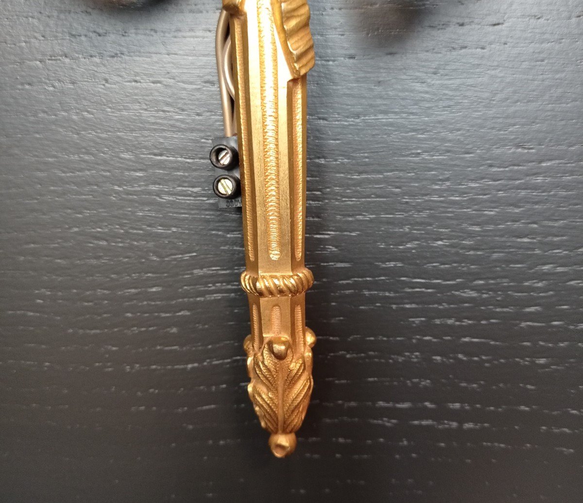 Paire d' Appliques en Bronze doré-photo-2