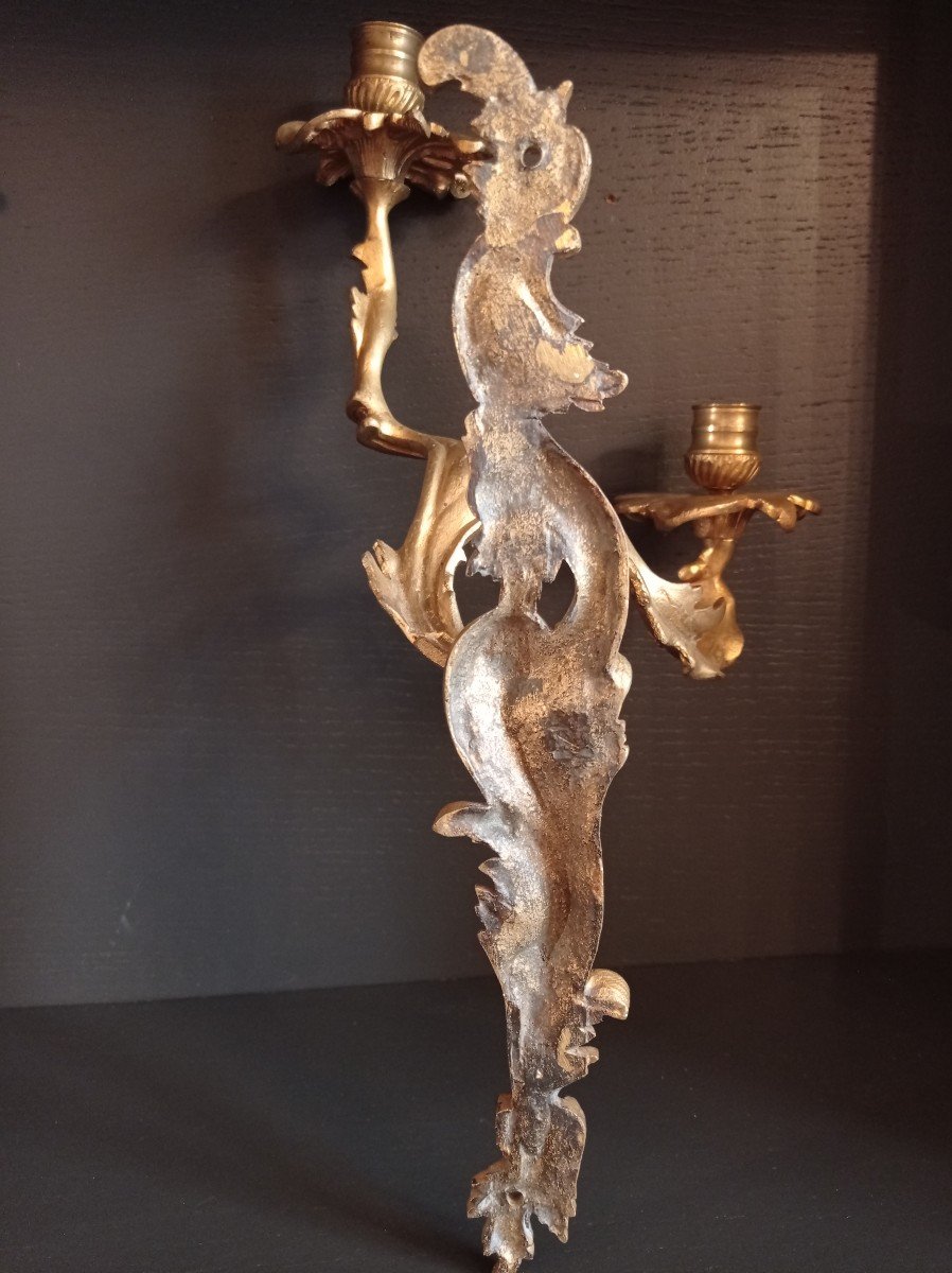 Paire d' Appliques en Bronze doré  de Style Louis XV-photo-1