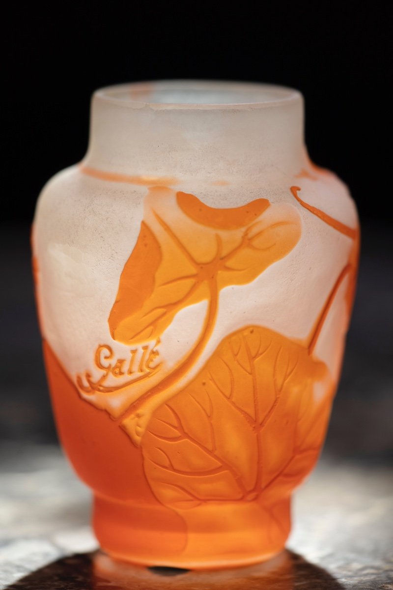 Une Importante Et Belle Collection De Vases Gallè-photo-4