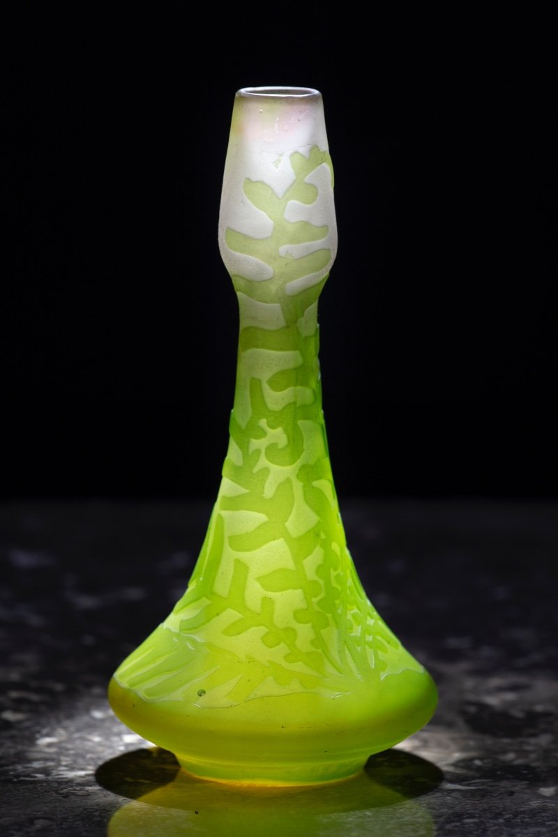 Une Importante Et Belle Collection De Vases Gallè-photo-6