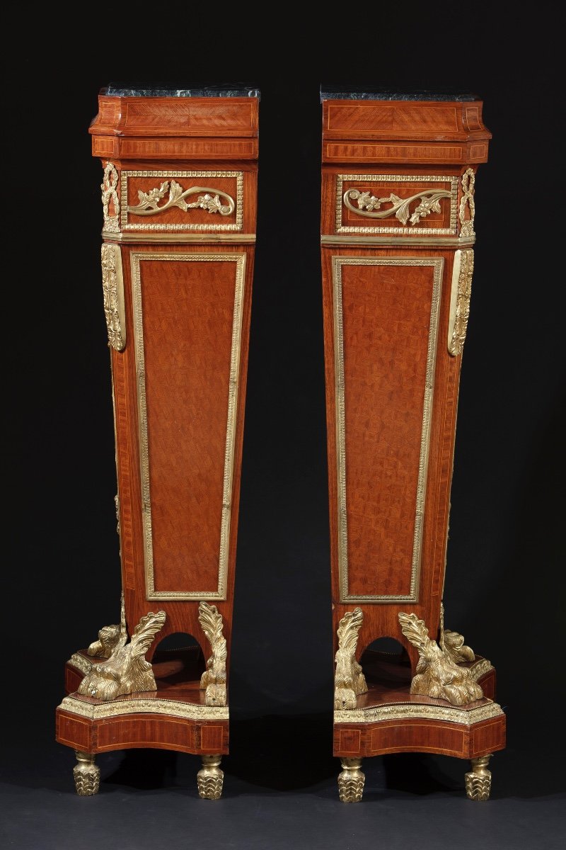 Pair Of Marqueterie Pedestals And Rich Decorations In Gilded Bronze-photo-5