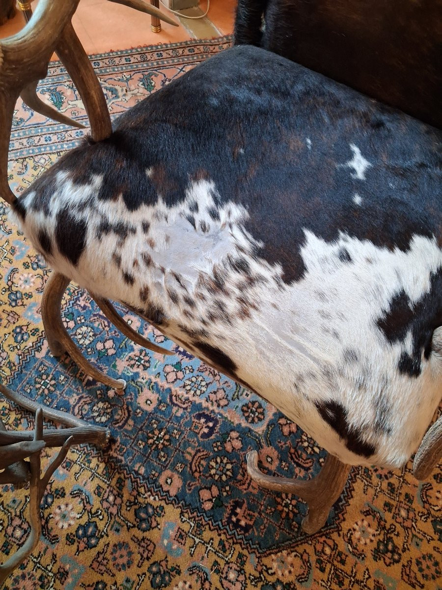 Black Forest, Rare Set Of 2 Armchairs And A Table In Deer Antler (horn) And Cowhide-photo-1