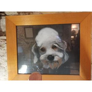 Pastel Representing A Coton De Tulear