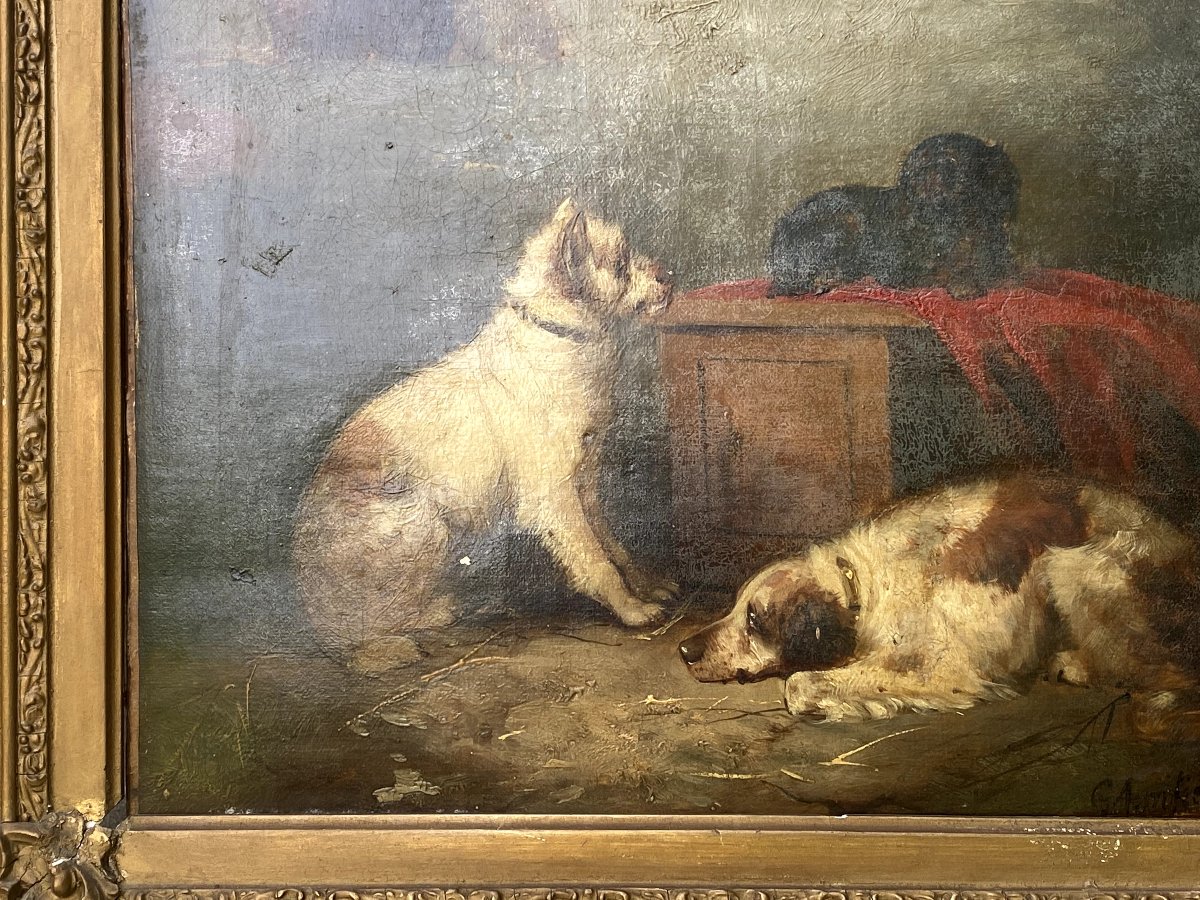 Trois chiens dans une écurie signé; George  Armfield,(1808 -Londres-1893) -photo-2